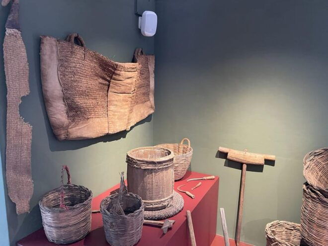 Pantelleria: Visit the Tastiest Museum Ever The Caper Museum - Accessibility Features