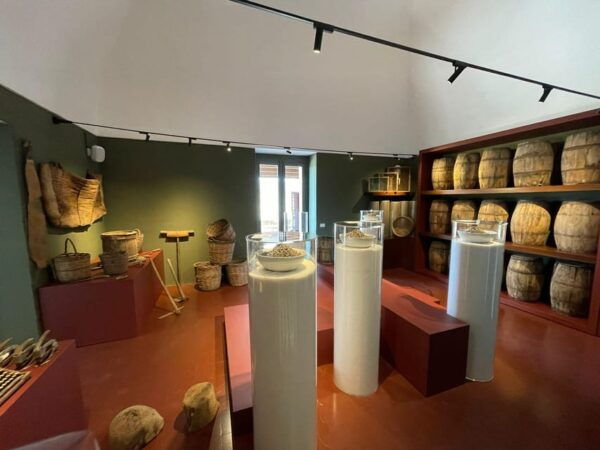 Pantelleria: Visit the Tastiest Museum Ever The Caper Museum - Local Culinary Experiences