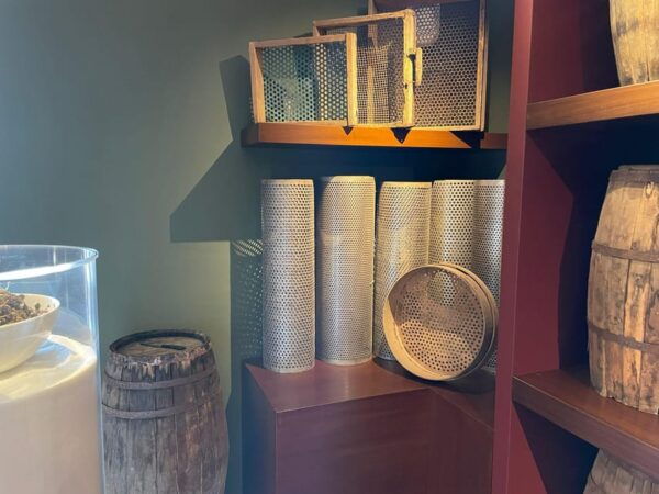 Pantelleria: Visit the Tastiest Museum Ever The Caper Museum - The Sum Up