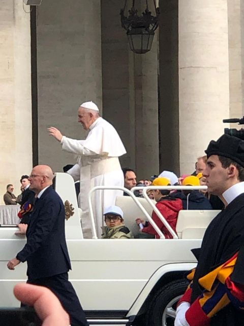 Papal Audience in Rome Private Tour - Accessibility and Inclusions