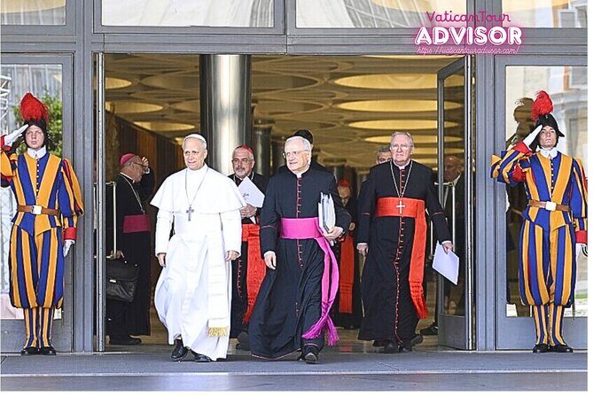 Papal Audience with Pope Leo XIV Exclusive Guided Experience - Final Thoughts