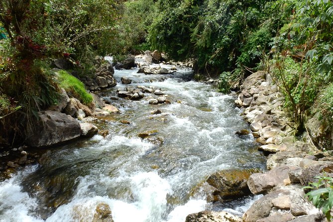 Papallacta Hot Spring, Guango Birdwatching Reserve Private Tour - Tour Overview