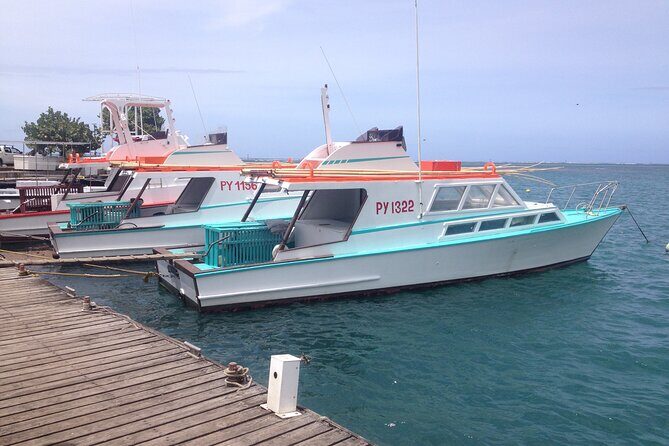 Papeete and Tahiti Historical and Cultural Tour - A Closer Look at the Itinerary and Experience