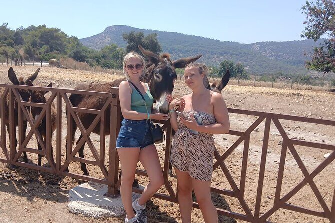 Paphos: Akamas Gorge & Turtle Bay & Donkey Farm Jeep Safari Tour - Good To Know