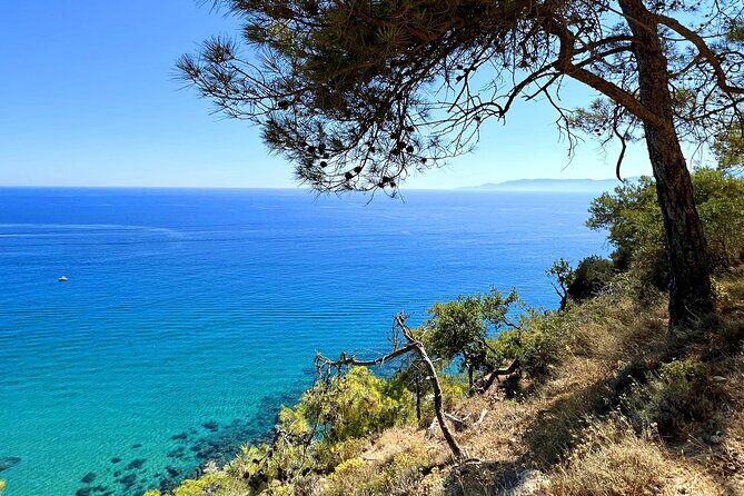 Paphos: Akamas Gorge & Turtle Bay & Donkey Farm Jeep Safari Tour - Who Is This Tour Best For?