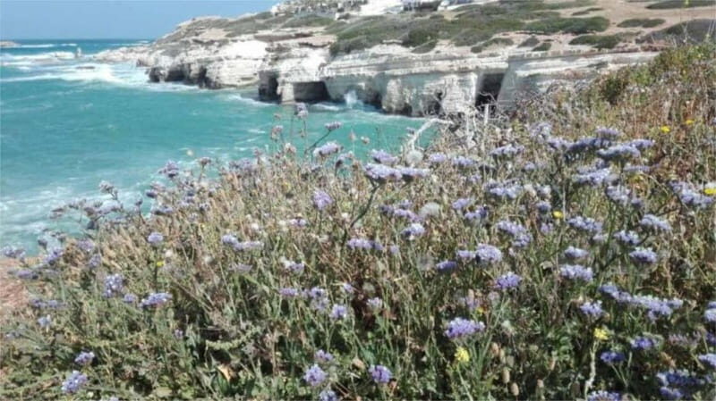 Paphos: Akamas, Waterfalls & Blue Lagoon of Aphrodite Tour - Good To Know