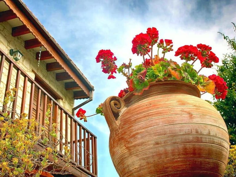 Paphos: Authentic Gourmet Tour with Wine and Food Tasting - FAQ