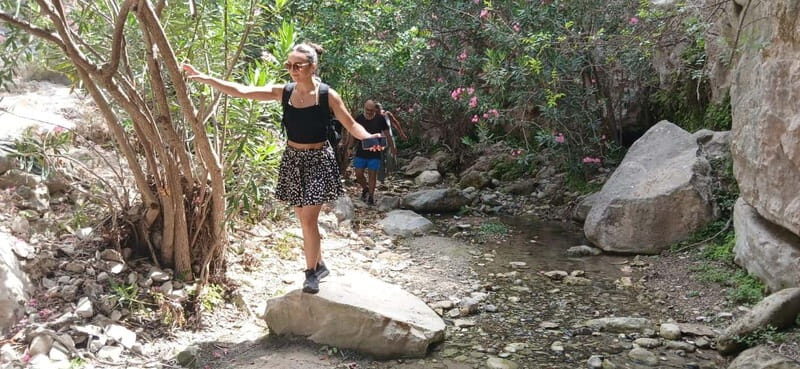 Paphos: Avakas Gorge & Turtle Bay Jeep Tour with Donkey Farm - The Sum Up