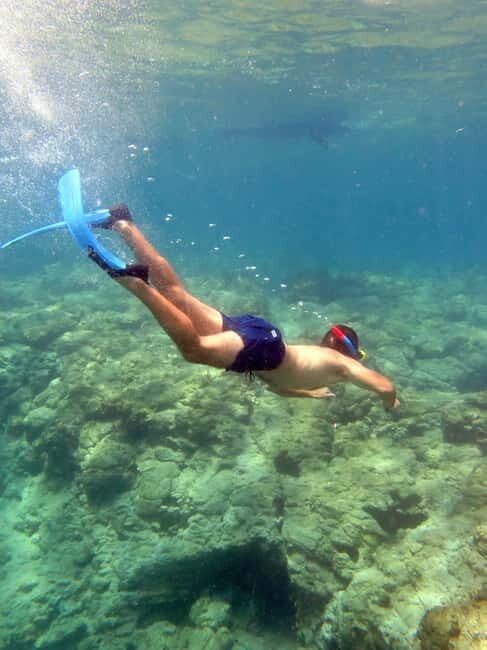 Paphos: Blue Lagoon Cruise-BBQ Lunch, Open Bar, Slide - Good To Know