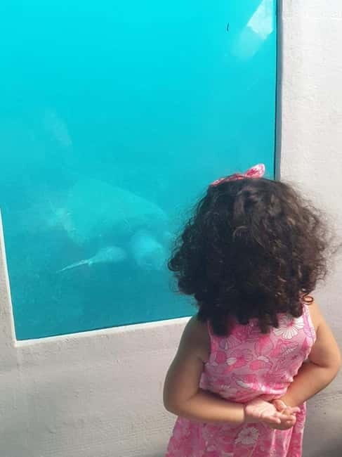 Paphos: Sunset Cruise, Turtle Watching, & Unlimited Drinks - Practical Details and Tips