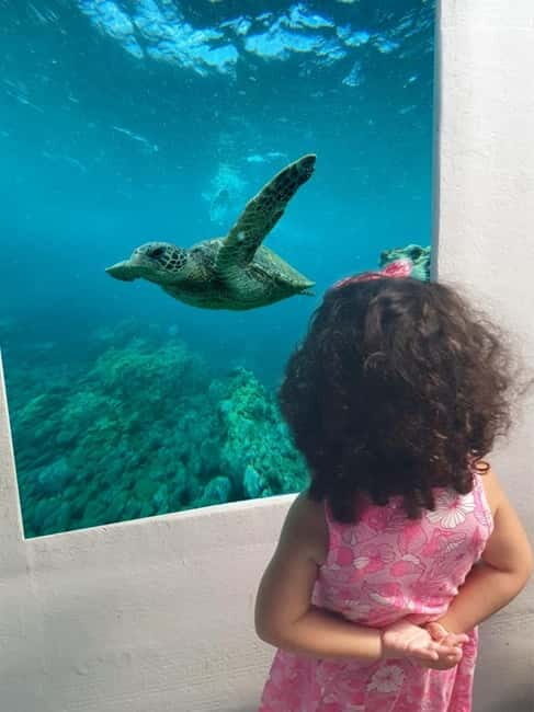 Paphos: Swim Cruise with Turtle Watching, Drinks & Aperol - Practical Tips for Booking and Enjoying