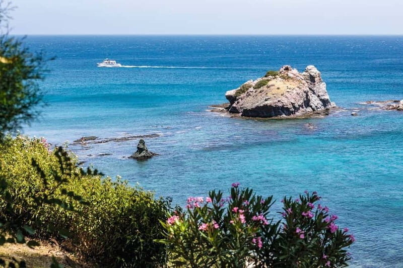 Paphos: Zoo Visit and Blue Lagoon Cruise with Guide & Lunch - An In-Depth Look at the Tour Experience