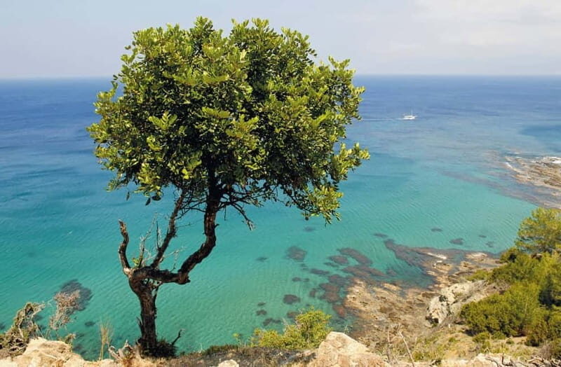 Paphos: Zoo Visit and Blue Lagoon Cruise with Guide & Lunch - FAQs