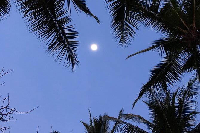 Paquera Sunset and Full Moon Kayak Tour - Tour Details