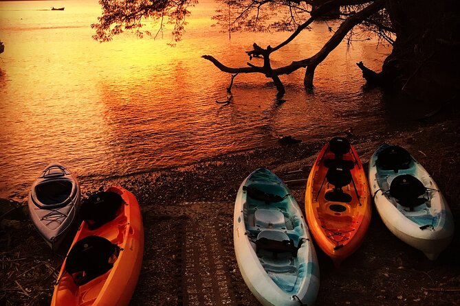 Paquera Sunset and Full Moon Kayak Tour - What To Expect