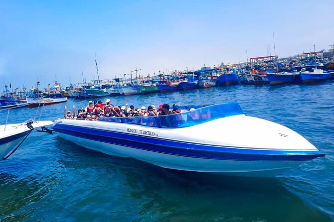 Paracas and Huacachina From LIMA, Ballestas Islands and Sandboarding - Traveler Information and Reviews