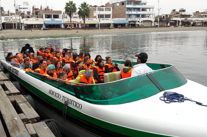 Paracas and Huacachina in Your Hands - How to Get to Paracas and Huacachina