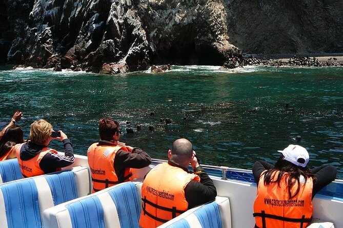 Paracas - Ballestas Islands and Huacachina With Sandboarding, Dune Buggy - FULL DAY - Overall Rating and Authenticity of Reviews