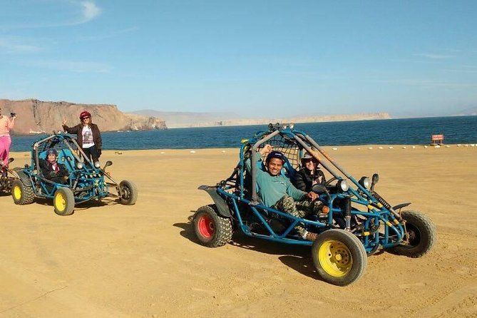 Paracas Full-day - Ballestas Islands and National Park in a Minibuggy - Overview of Paracas Full-day Tour
