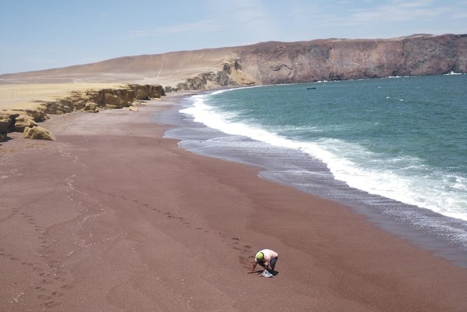 Paracas Full-day - Ballestas Islands and National Park in a Minibuggy - The Sum Up