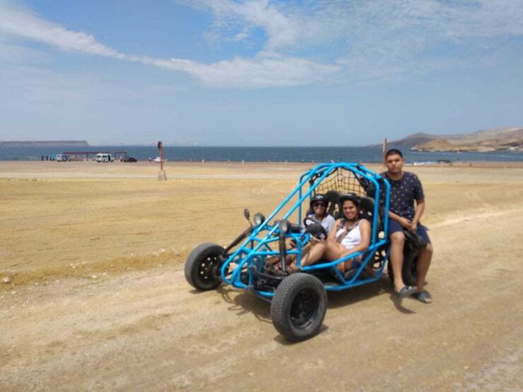 Paracas: Mini Buggy Ride in Paracas National Reserve - Booking Details