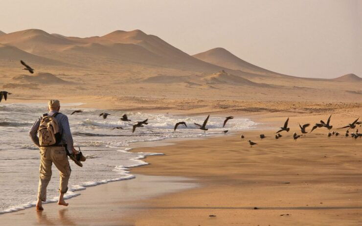 Paracas: Mini Buggy Ride in Paracas National Reserve - Experience Highlights