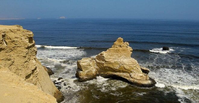 Paracas: Paracas National Reserve Half Day Tour - Tour Highlights