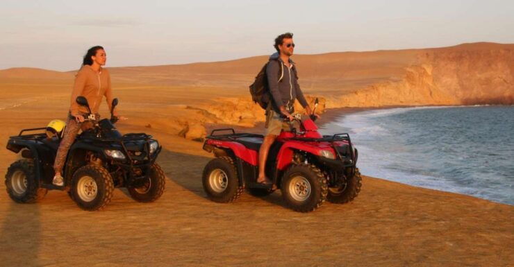 Paracas Reserve Off-Road Expedition - Buggy or Quad - Activity Overview