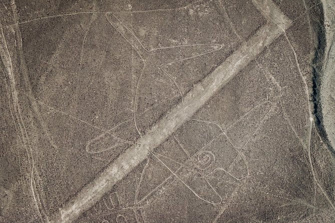 Paracas Shore Excursion: Nazca Lines Tour - Traveler Tips and Reviews