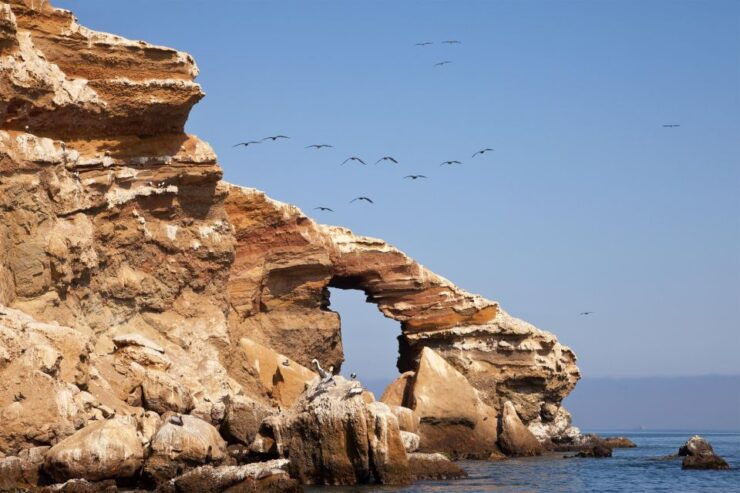 Paracas: Short Excursion to Ballestas Island Sea Lions - Activity Details