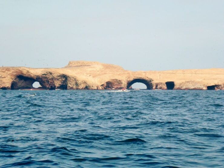 Paracas: Short Excursion to Ballestas Island Sea Lions - Experience Highlights