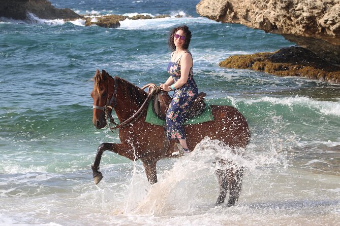 Paradera Small-Group North Coast Horseback Ride  - Aruba - The Sum Up