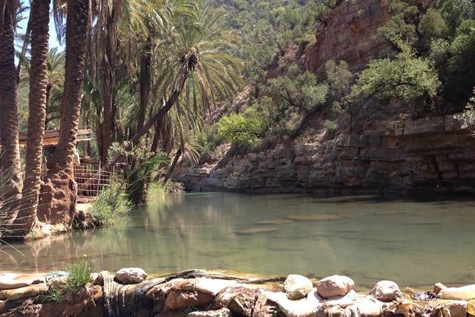 Paradis Valley and Atlas Mountains From Agadir & Taghazout - Tour Overview and Experience