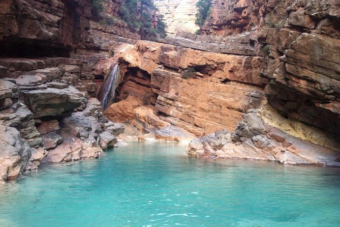 Paradis Valley Excursion + Botanical Garden & Berber Breakfast - Accessibility Details