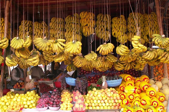 Paradis Valley Excursion + Botanical Garden & Berber Breakfast - Booking Policies