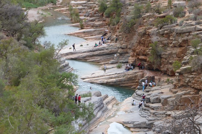 Paradis Valley Excursion + Botanical Garden & Berber Breakfast - The Sum Up