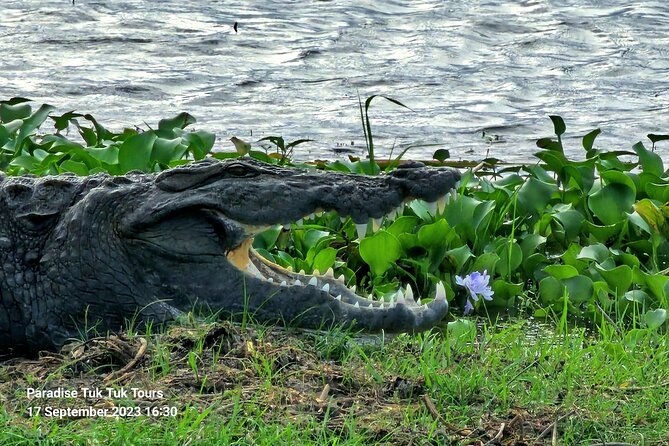 Paradise Bundala Safari Tours - Additional Information