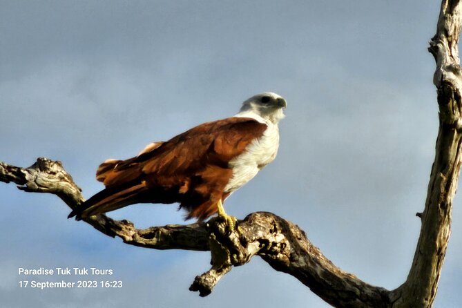 Paradise Bundala Safari Tours - Directions and Recommendations