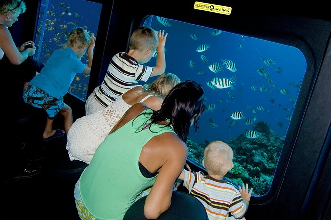 Paradise Conquest Snorkeling & Underwater Life Adventure - Booking Process