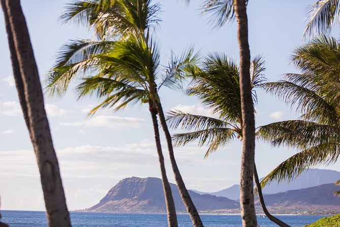 Paradise Cove Luau - Cancellation Policy