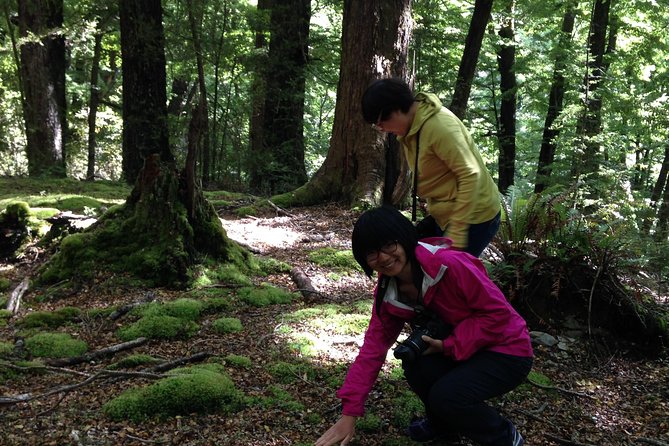 Paradise Day Walks - Inclusions for a Comfortable Experience