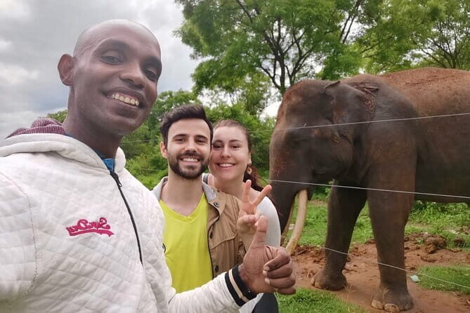 Paradise Ella Day/OneWay Tourvisit or without(Udawalawe/Yala)Tour - FAQ