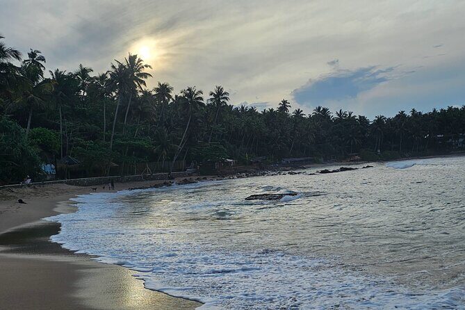 Paradise Galle Day Tours - Who Would Love This Tour?