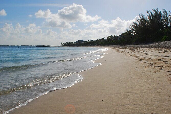 Paradise Island Beach Club - Amazing Cabbage Beach Day Pass - Who Should Consider This Experience?