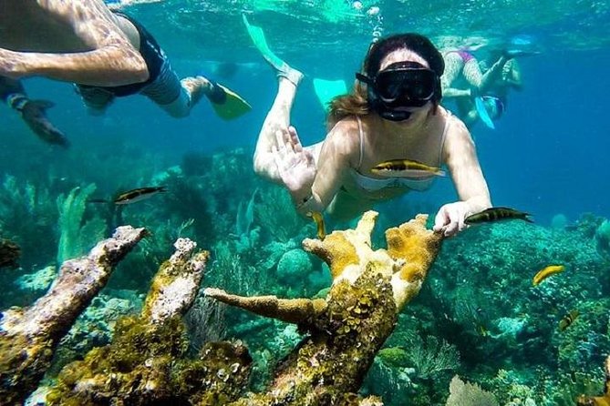 Paradise Island Cayo Arena & Mangroves From Puerto Plata (Full Day) - Tour Overview and Activities