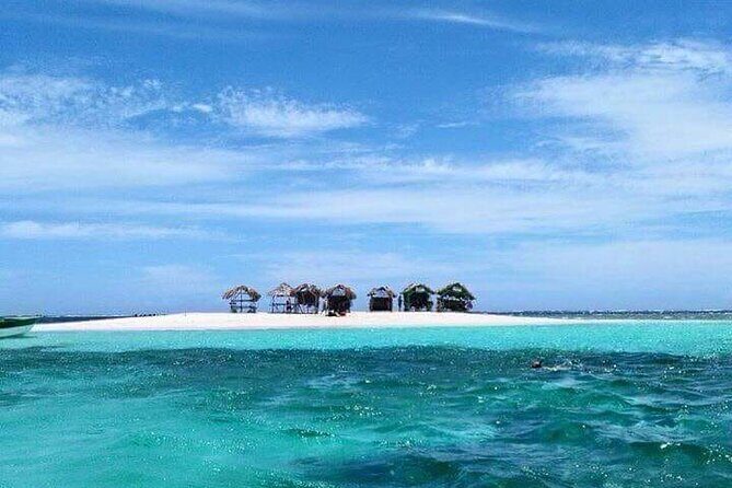 Paradise Island Cayo Arena Tour Snorkeling, Mangroves, Local Food - Final Thoughts