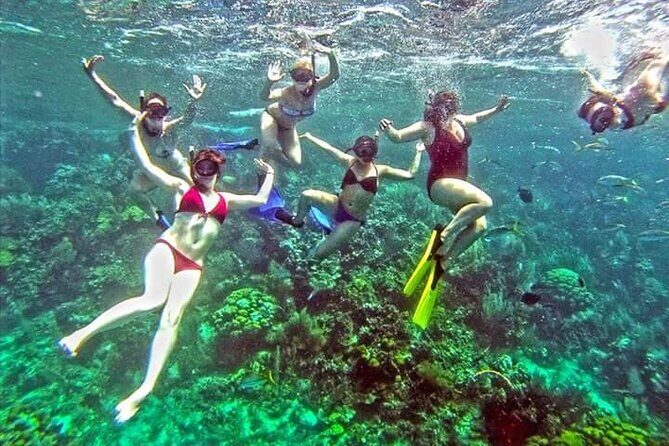 Paradise Island Cayo Arena Tour Snorkeling, Mangroves, Local Food - FAQs