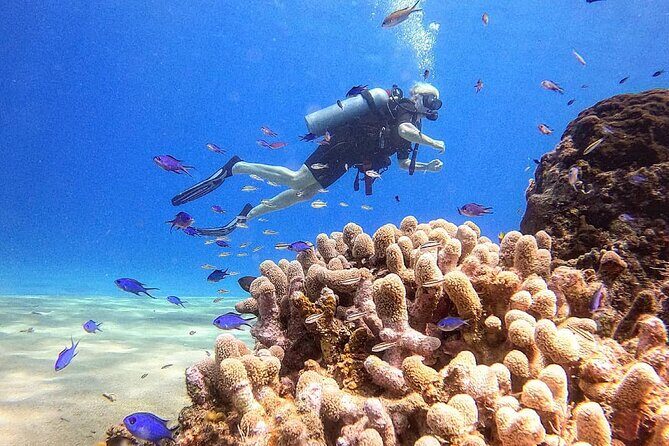 paradise island ( punta rucia) - FAQ