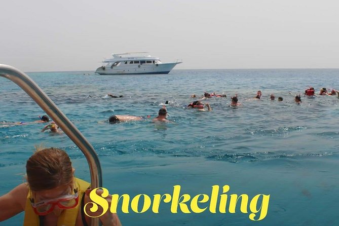 Paradise Island - Rated as the Most Unique Program - Frequently Asked Questions