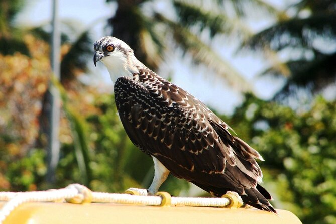 Paradise Islands Tour: Isla Contoy and Isla Mujeres - Reviews